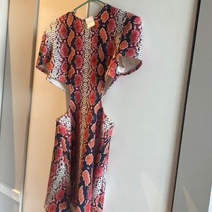 Side cut out snake print dress